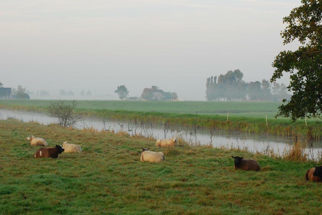Dobberhuisje Nieuwkoop Zewnętrze zdjęcie